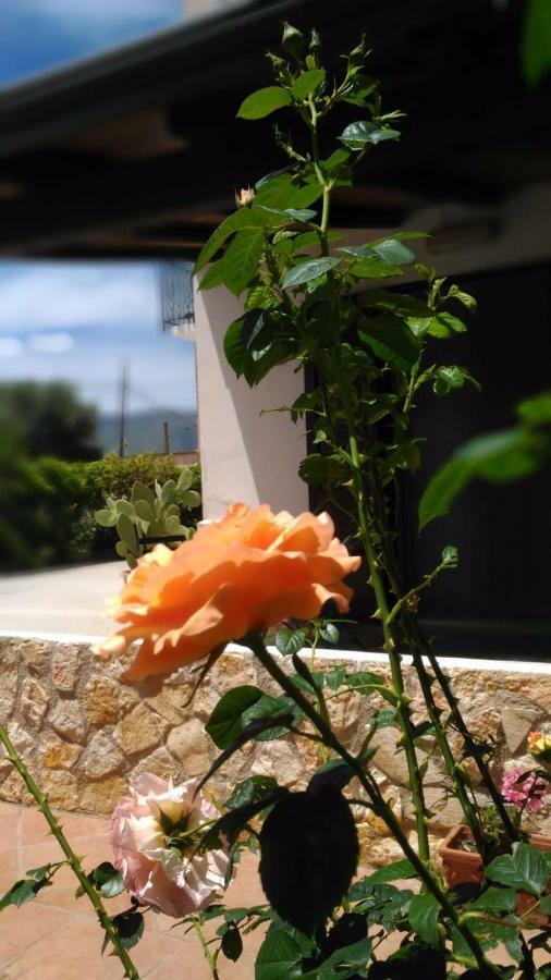 Casa Il Gelsomino Hostal Alcamo Exterior foto